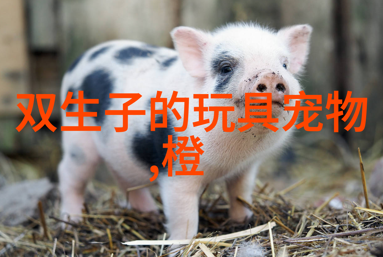 韩国留学公司怎么选择才靠谱