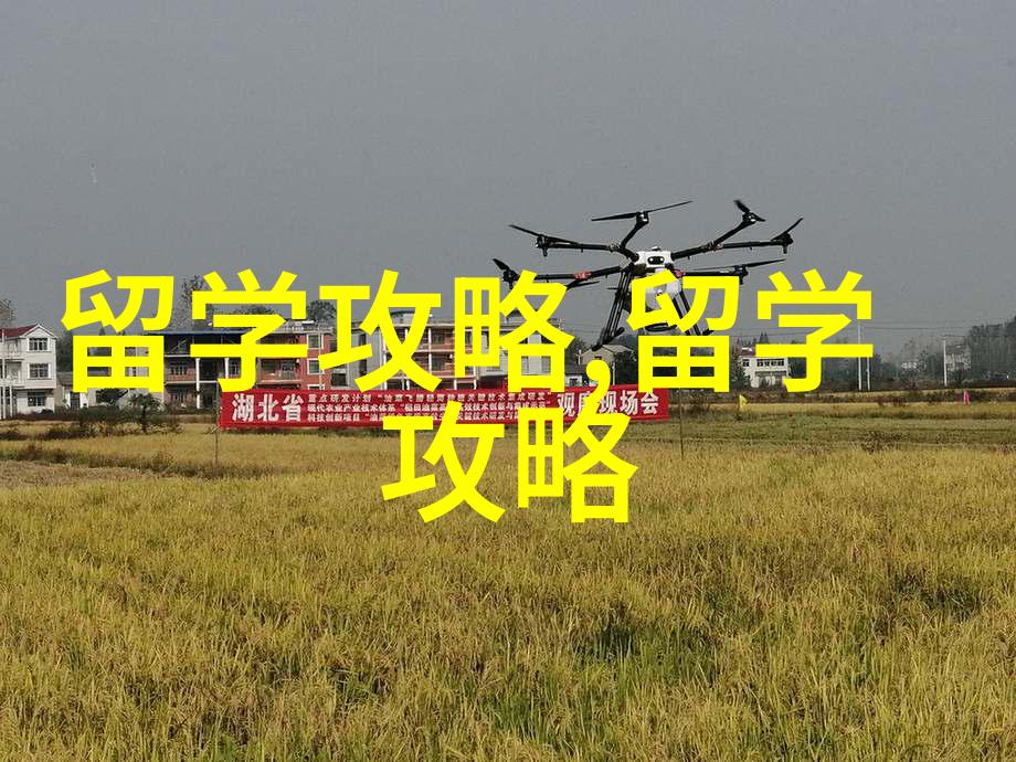兰实大学硕士留学条件是什么
