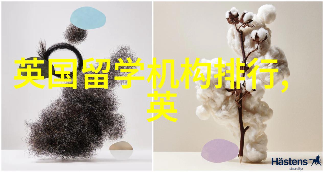 东安圣安布里斯托不限背景硕士项目